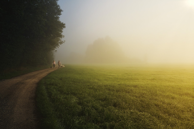 Mindful Walking